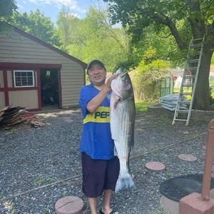 Meet your Posher, Manuel